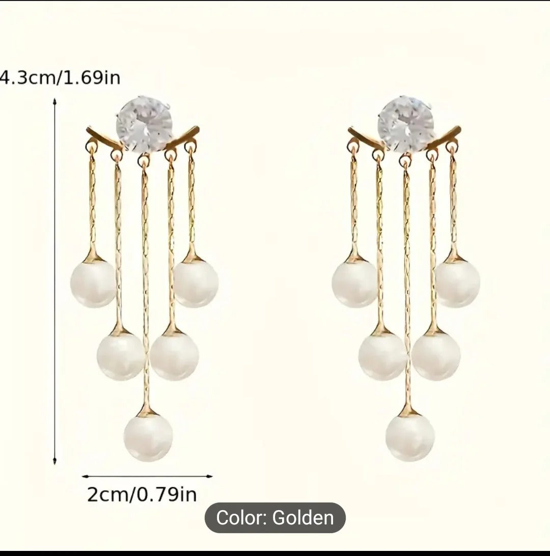 1 Pair of Luxury Women's Earrings.