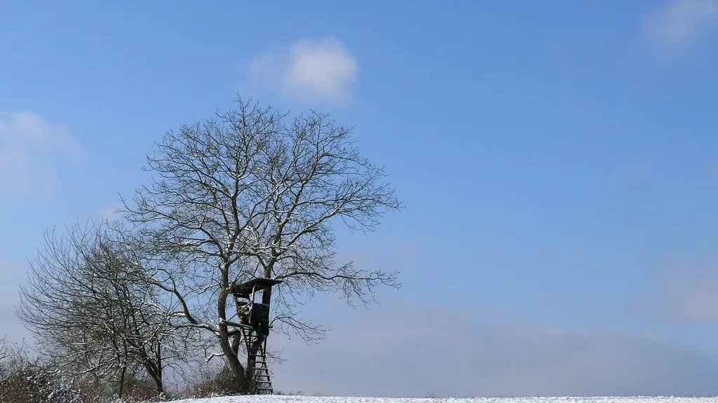 snow